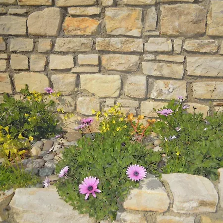 Petaloudes 2 Apartment Kamilari
